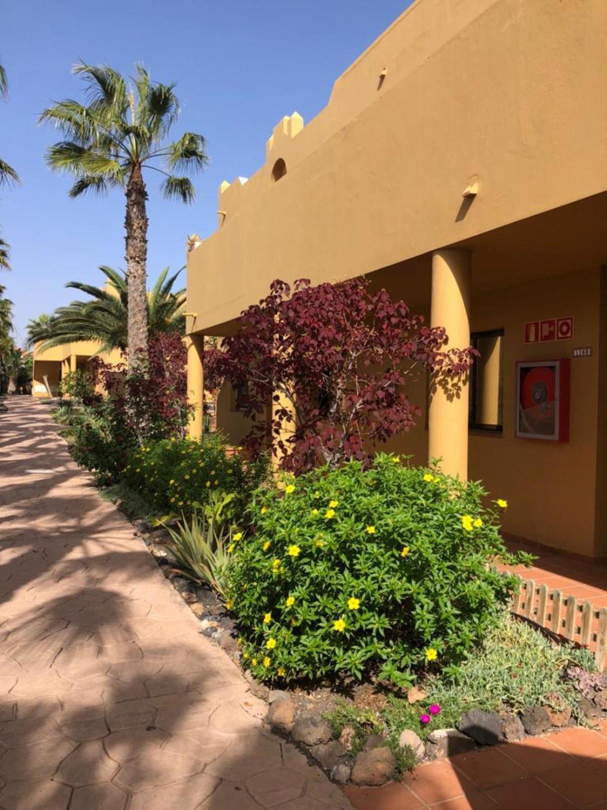 Apartmán Casa Alice Corralejo Exteriér fotografie